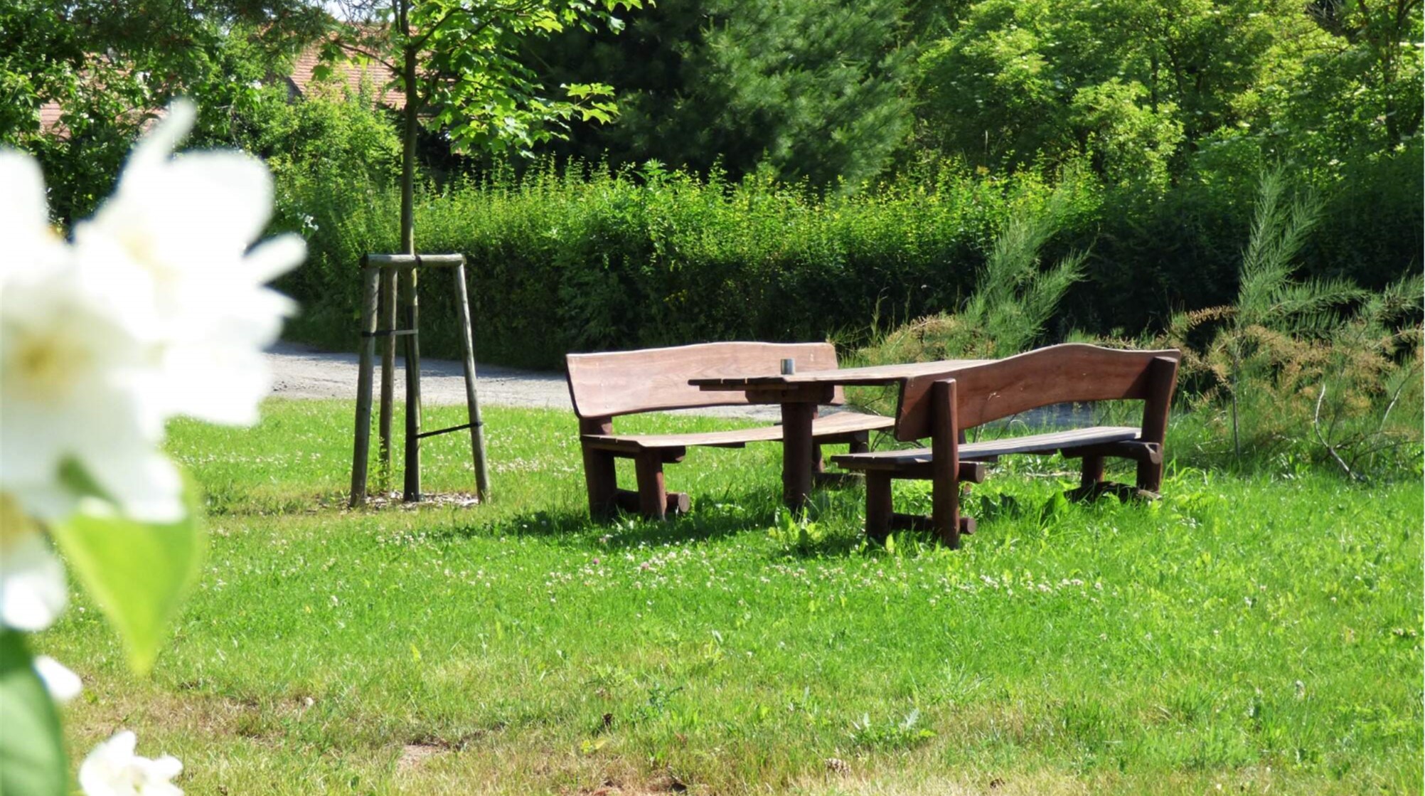 RADHOŠŤ