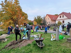 SÁZÍME STROMY, KTERÉ SPOJUJÍ - TÝNIŠŤKO