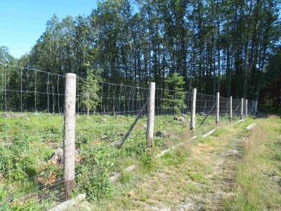 PODPOŘENÝ PROJEKT: Ochrana MZD oplocením MAS 2