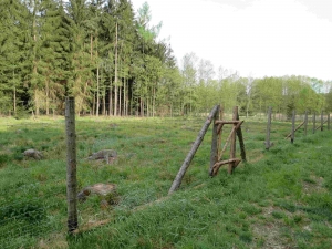 PODPOŘENÝ PROJEKT: Ochrana MZD oplocením MAS